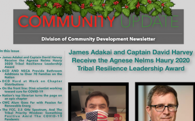 December 2020 Edition of DCD Newsletter is now available