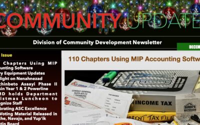 DCD Newsletter – Christmas Edition available now