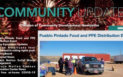 DCD Newsletter – January Edition Available Now