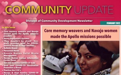 DCD Newsletter February Edition is Now Available