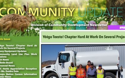 DCD Newsletter – April Edition Available NOW