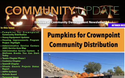 DCD Newsletter October 2022 Edition