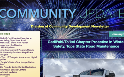 DCD Newsletter January 2024 Edition Available