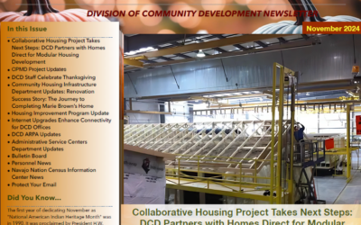 DCD Newsletter November 2024
