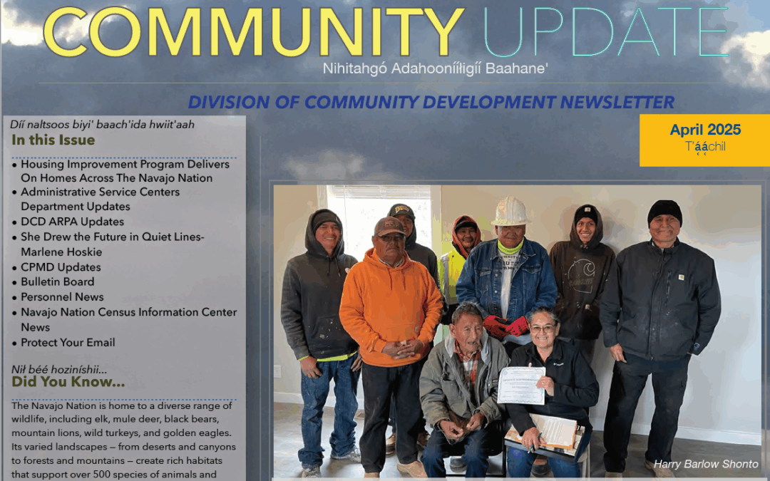 DCD Newsletter April 2025