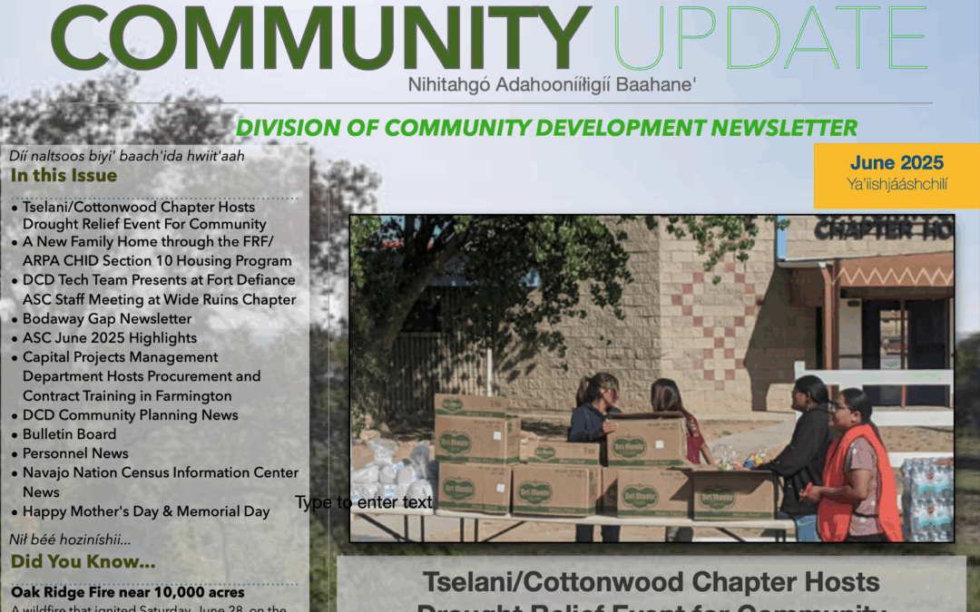 DCD Newsletter June 2025