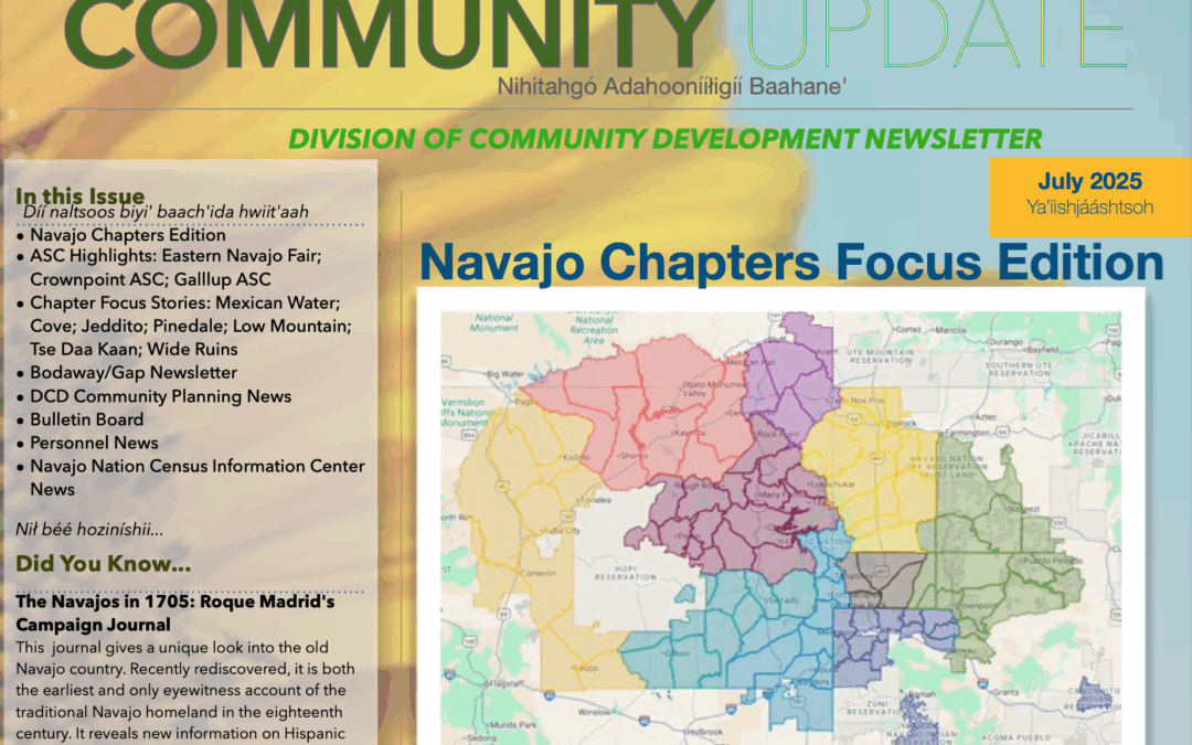 DCD Newsletter July 2025