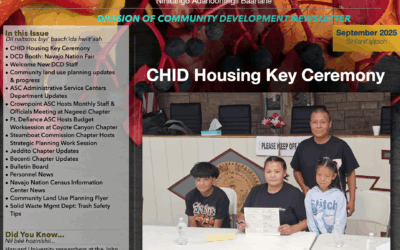 DCD Newsletter September 2025