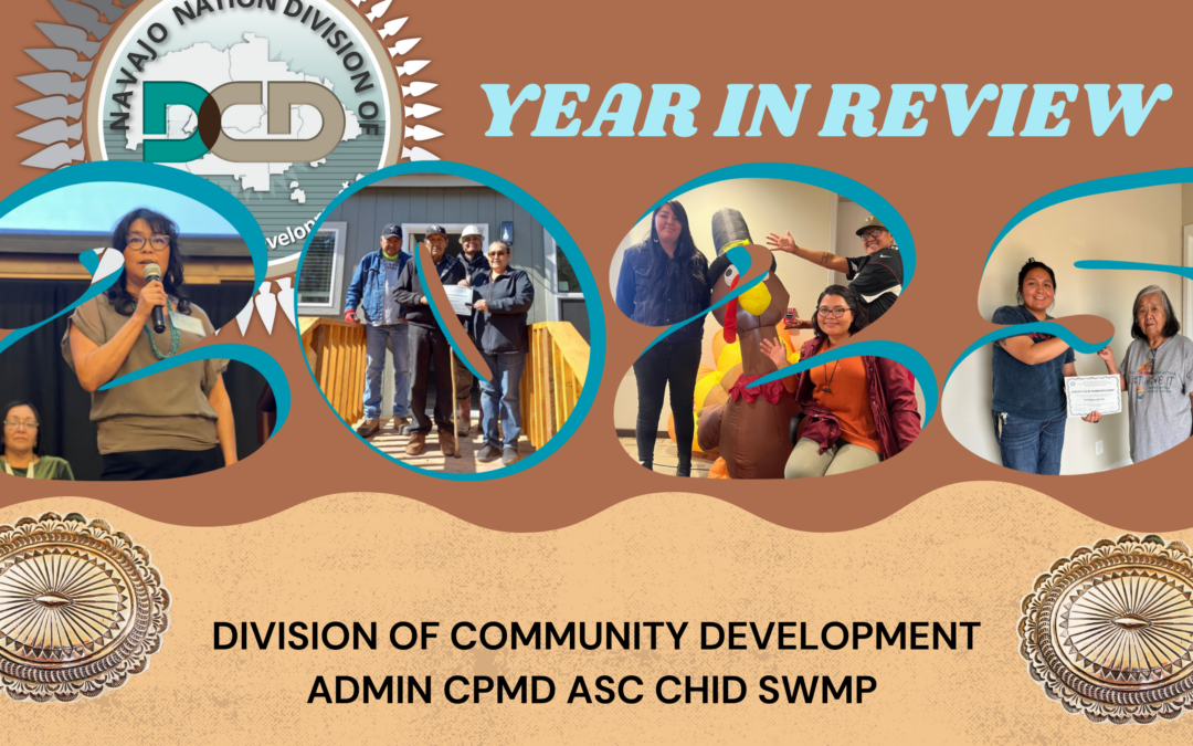 2025 DCD Year in Review