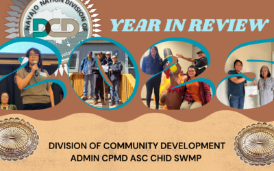 2025 DCD Year in Review