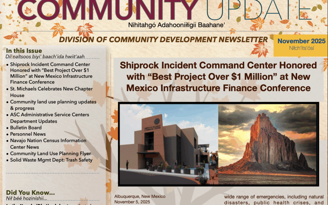 DCD Newsletter November 2025