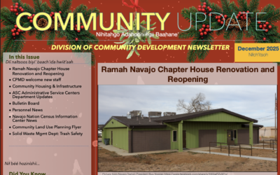 DCD Newsletter December 2025