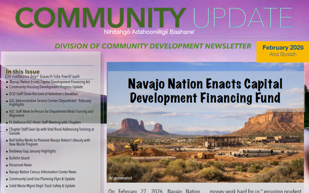 DCD Newsletter February 2026