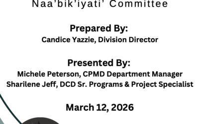 CPMD Report- New Mexico Capital Outlay / TIF