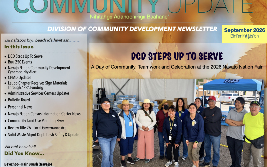 DCD Newsletter September 2026